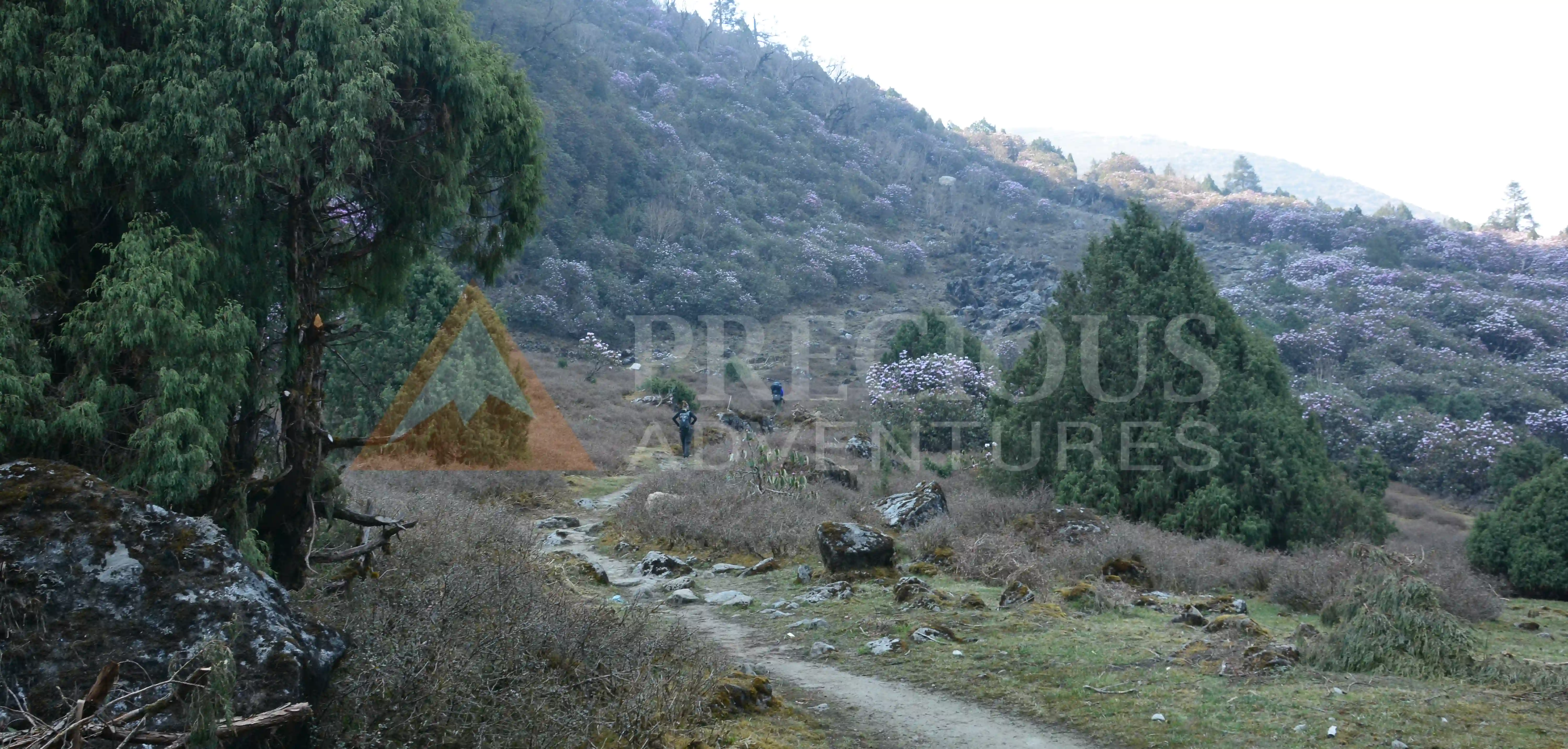 helambu-trek-gallery-2